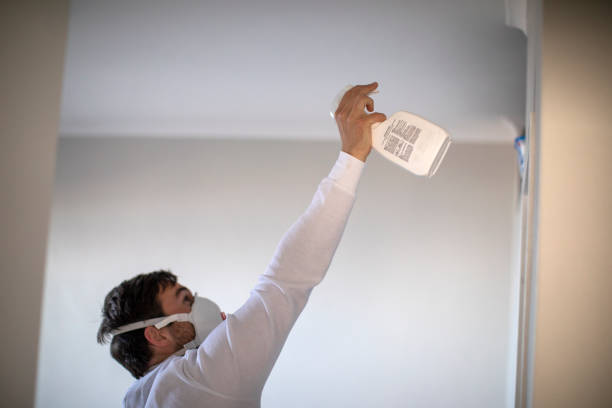 Best Mold Testing  in St Joseph, IL