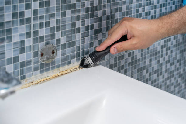 Best Fast Mold Removal  in St Joseph, IL