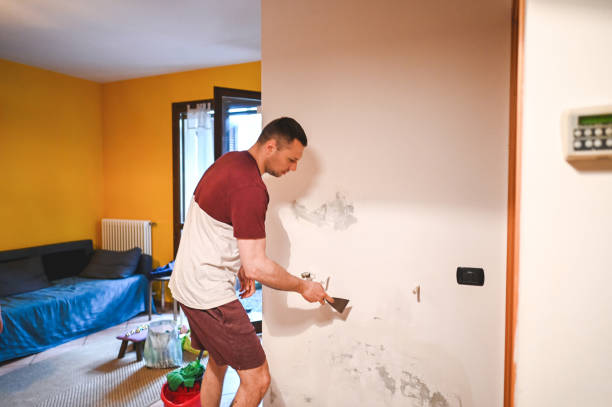 Best Mold Removal Company Near Me  in St Joseph, IL